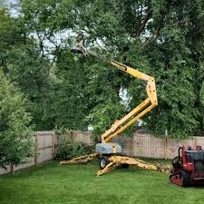 How Our Tree Care Process Works  in  Marriott Slaterville, UT