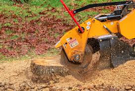 Reliable Marriott Slaterville, UT Tree Removal Solutions